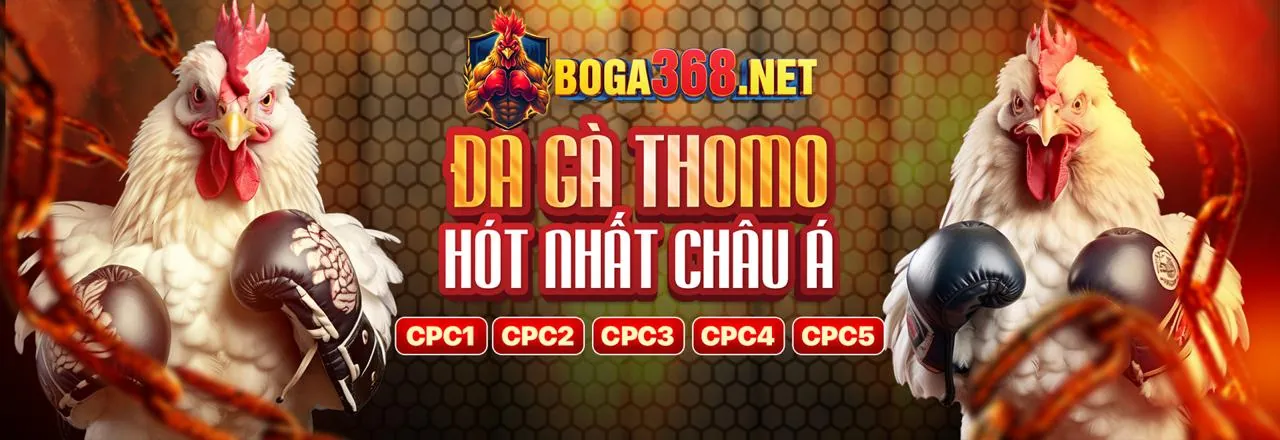 Sân gà shbet0 đăng nhập 2026 với không khí sôi động